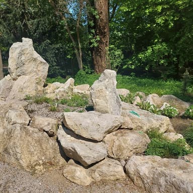 Alpine Pflanzen
