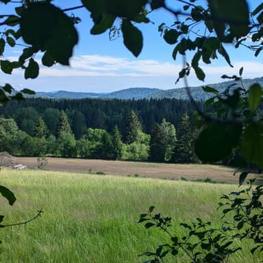 Bild von Erst spät erschlossen – die Mauth-Finsterauer Rodungsbucht