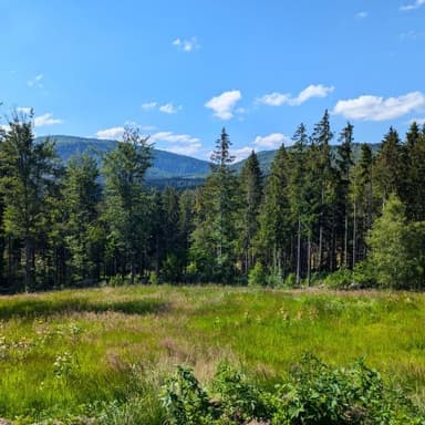 Bild von Ein uraltes Gebirge – der Bayerische Wald